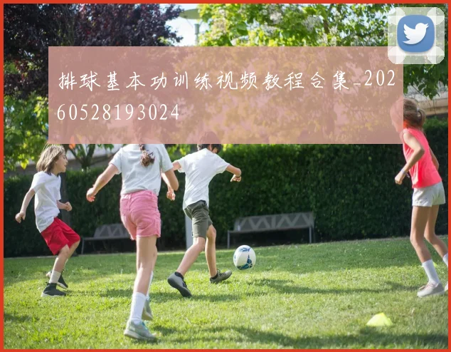 排球基本功训练视频教程合集_20260528193024