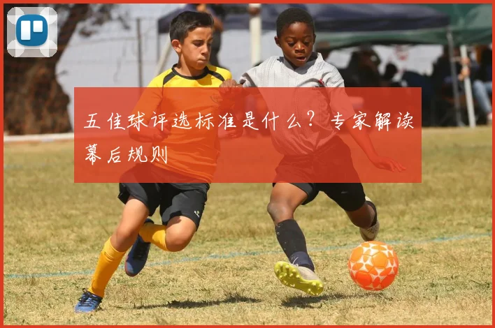五佳球评选标准是什么？专家解读幕后规则